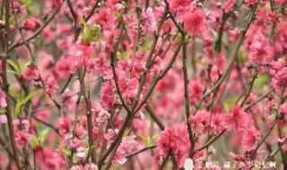 十八罗汉山森林公园 十八罗汉山森林公园