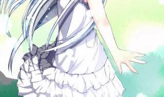 未闻花名为什么叫未纹花臂 我们仍未知道花名