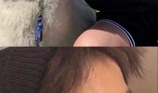 杨舒予照片 杨舒予照片