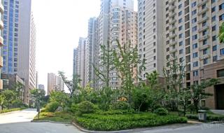 西海在哪里 西海在哪里