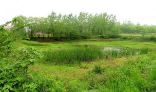 河南周口沈丘县赵德营新农村建设什么时候开始实施政策是怎么样的.有赔偿措施吗 河南新农村建设规划