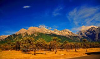 香格里拉香格里拉 香格里拉香格里拉