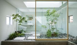 画一幅植树有简单的画 画一幅植树有简单的画