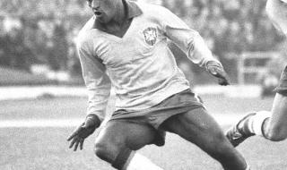 巴西世界杯最佳射手 巴西世界杯最佳射手